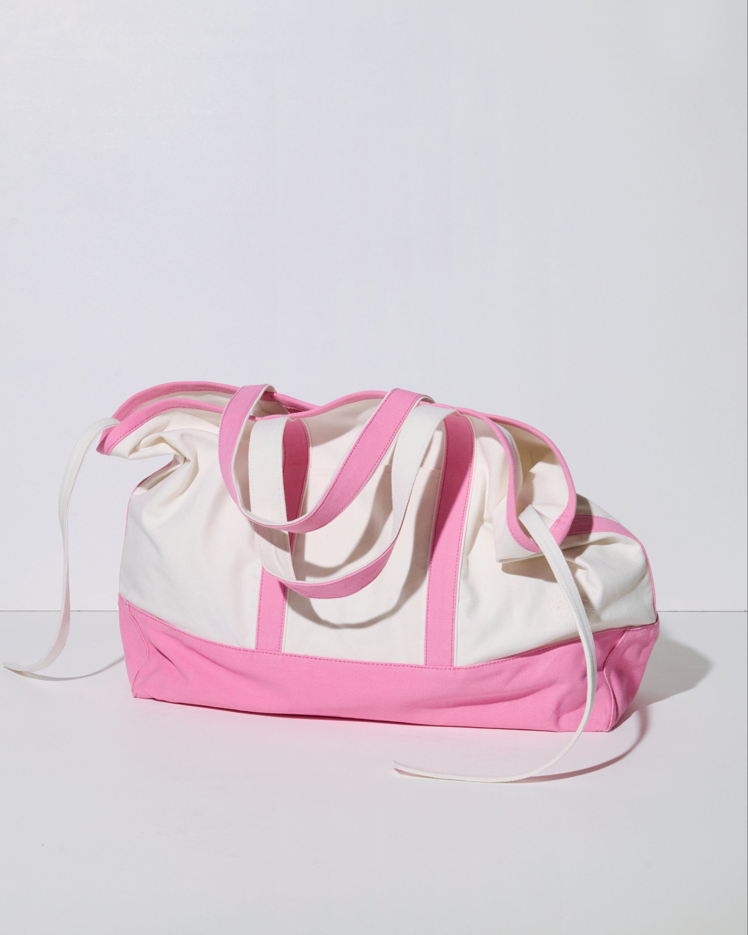 EASY BAG LARGE BEGONIA